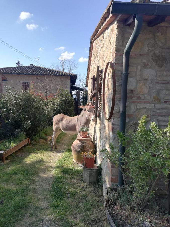 Agriturismo Grecinella Казоле-д'Эльса Экстерьер фото