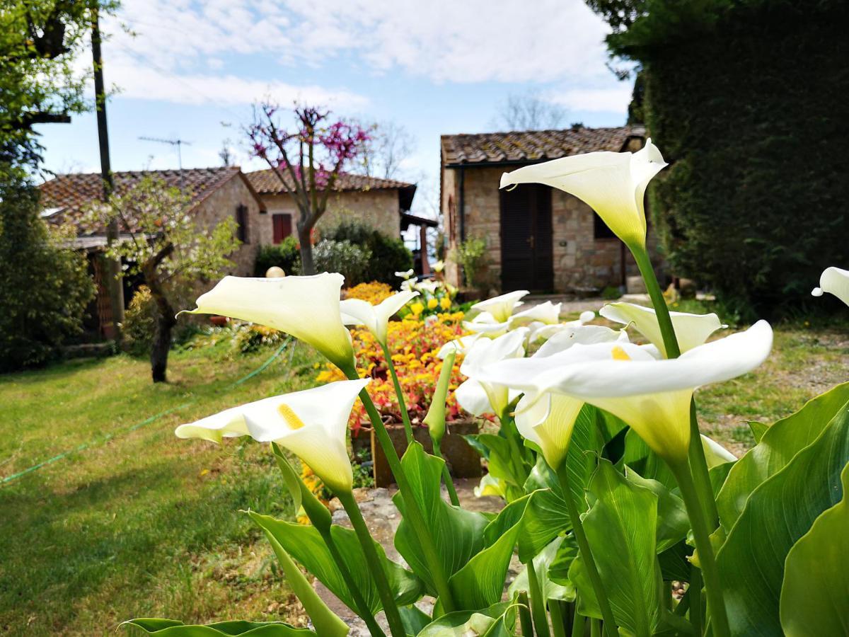 Agriturismo Grecinella Казоле-д'Эльса Экстерьер фото